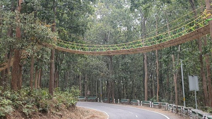 Jembatan khusus reptil
