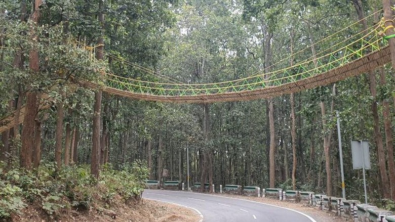 Jembatan khusus reptil Jembatan khusus reptil