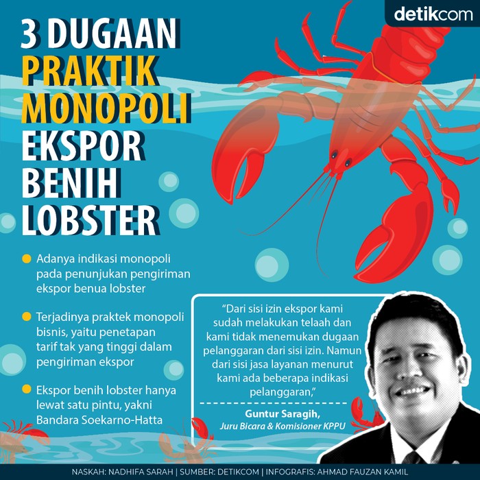 KPPU cium aroma monopoli dalam ekspor benih lobster
