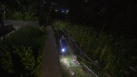 Konflik juga semakin memanas karena populasi satwa liar meningkat seiring dengan hampir berhenti perburuan satwa akibat situasi keamanan yang mencekam dan kehadiran pasukan India di kawasan hutan.  