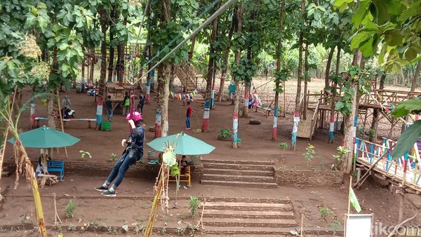 Pengunjung bisa menikmati uji nyali flying fox dari ketinggian 20 meter dengan panjang 45 meter. Yang menarik, traveler akan naik flying fox melintas di atas sungai. Bikin deg-degan! (Dian Utoro Aji/detikTravel) Pengunjung bisa menikmati uji nyali flying fox dari ketinggian 20 meter dengan panjang 45 meter. Yang menarik, traveler akan naik flying fox melintas di atas sungai. Bikin deg-degan! (Dian Utoro Aji/detikTravel)