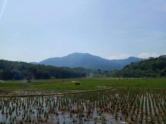 Gunung di Cianjur, Jawa Barat.