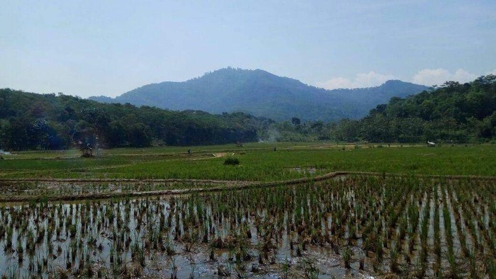 Gunung di Cianjur, Jawa Barat.