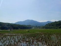Viral! Pendaki Disambut Bunyi Gamelan di Gunung Mananggel, Cianjur