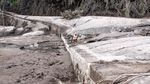 Potret Jalur Lahar Panas Gunung Semeru