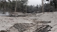 Gunung Semeru mengalami erupsi yang menyebabkan awan panas letusan meluncur ke arah Curah Besuk Kobokan sepanjang 11 kilometer dengan durasi kemunculan awan panas selama tiga jam serta status level II atau waspada.