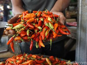 Bisnis Cabai, Petani di Perbatasan Bisa Beli Rumah & Mobil