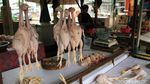 Jelang Akhir Tahun Harga Cabai-Ayam di Bandung Naik