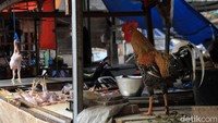 Kepala Bidang Distribusi Perdagangan dan Pengembangan E-commerse Dispangtan Kota Bandung, Meiwan Kartiwa membenarkan soal kenaikan harga beberapa komoditi bahan baku tersebut. Dia mengatakan, awalnya akan mengadakan bazar pasar murah di salah satu kecamatan di Kota Bandung. Namun karena mengingat masih dalam masa pandemi COVID-19, kegiatan rutin jelang akhir tahun tersebut akan ditunda sementara waktu.