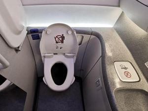 Ancaman Bom di Kamar Mandi Membuat Pesawat Ini Mendarat Darurat