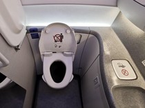 Penumpang Disabilitas Merangkak ke Toilet Pesawat karena Tak Ada Kursi Roda