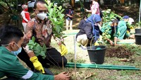 Jenis pohon yang dibagikan adalah jenis pohon buah dan juga pohon besar seperti Trembesi dan juga Sengon untuk penghijauan di Kota Depok, Jawa Barat.