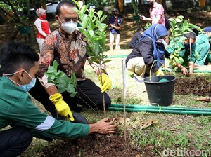 Menanam Pohon: Kompetensi Abad ke-21