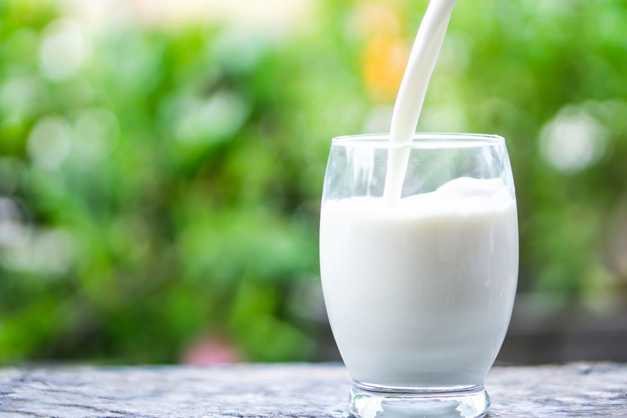 Nutrisi Susu Kuda Liar Mirip ASI, Bisa Tingkatkan Stamina Pria?'