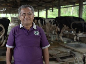 Inisiasi Sentra Susu Sapi di DIY, Dokter Hewan Ini Raih Local Hero Award