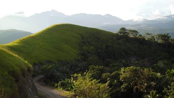 Dalam bahasa setempat, Yomokho memiliki arti khusus, yaitu kampung yang berdiri di atas bukit. Yo dalam bahasa Sentani adalah kampung, mokho adalah bukit. Pada masa prasejarah, bukit ini dihuni oleh nenek moyang masyarakat Pulau Asei. (Hari Suroto/Istimewa) Dalam bahasa setempat, Yomokho memiliki arti khusus, yaitu kampung yang berdiri di atas bukit. Yo dalam bahasa Sentani adalah kampung, mokho adalah bukit. Pada masa prasejarah, bukit ini dihuni oleh nenek moyang masyarakat Pulau Asei. (Hari Suroto/Istimewa)