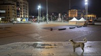 Aturan jam malam ini baru dimulai pada Selasa (1/12) kemain (AP/)