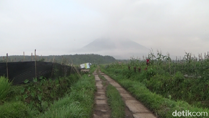 hujan abu terjadi usai semeru meletus