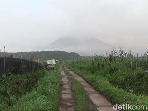 BPBD Jatim Terjunkan Tim Reaksi Cepat Antisipasi Erupsi Susulan Gunung Semeru
