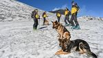 Intip Aktivitas Patroli Gunung Etna di Italia
