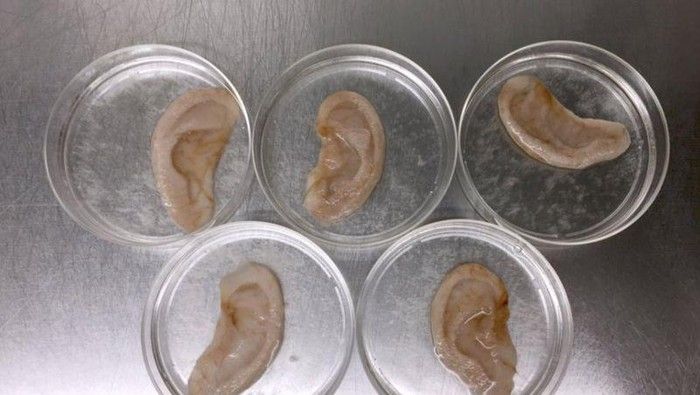Daging Manusia hingga Bebek, Ini 5 Daging Tiruan Buatan Laboratorium