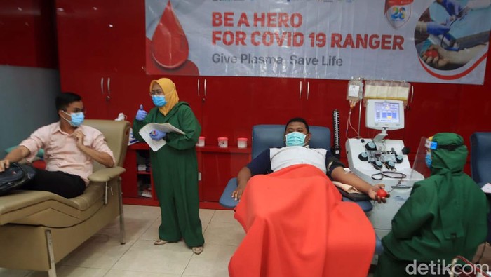 donor darah plasma konvalensen