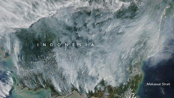 Foto tertanggal 14 September 2019 menampakkan dampak kebakaran hutan di Kalimantan. Foto: NASA