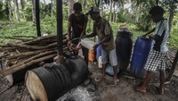Salomon memiliki perlengkapan mengolah nira kelapa menjadi sopi di gubuk kecil miliknya sejak beberapa tahun terakhir. Setiap hari, dia mengumpulkan nira kelapa untuk disuling menjadi sopi.  
