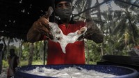 Dalam sebulan, petani pengolah Sopi mampu meraup untung mencapai Rp 5 juta. Dengan hasil mengolah Sopi itu, sebagian penduduk mampu membiayai sekolah anaknya hingga perguruan tinggi.  