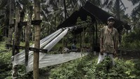 Balai Pelestarian Nilai Budaya (BPNB) Maluku sudah menyatakan bahwa sopi telah ditetapkan sebagai warisan budaya tak benda Indonesia sejak Oktober 2016.  