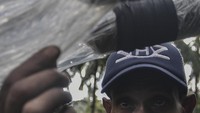 Nira merupakan bahan baku utama pembuatan minuman tradisional Maluku bernama sopi yang berasal dari bahasa Belanda Zoopje yang berarti alkohol cair.  