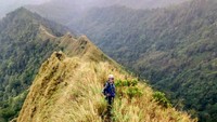 Gunung Pyramid Bondowoso memang belum resmi ditetapkan sebagai destinasi wisata. Sebab, kawasan itu membutuhkan pembenahan. Selain itu, Perhutani harus menghitung risiko pengunjung, fasilitas untuk wisatawan, dan aksesibilitas sarana dan prasarana. 