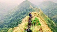 Data menunjukkan dalam kurun sekitar satu tahun, Gunung Pyramid telah menelan dua korban jiwa. Keduanya terjatuh dan tewas saat melakukan pendakian di gunung tersebut. 