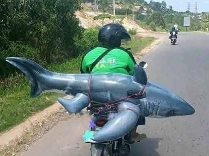 Seringkali ojol terpaksa mengangkut barang yang ukuran dan bobot berlebih dari kapasitas dan dimensi sepeda motor.