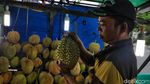 Menikmati Kelezatan Durian Pekanbaru yang Khas