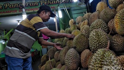 Menikmati Kelezatan Durian Pekanbaru yang Khas