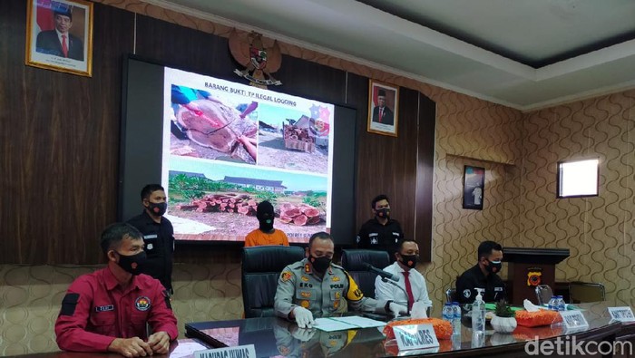 Pelaku pembalak liar di Sumedang.s