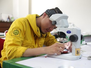 Keren! Ini Berbagai Inovasi yang Dilakukan oleh Universitas Pertamina