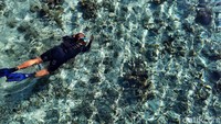Kegiatan favorit wisatawan ketika berkunjung ke Pulau Kanawa adalah snorkeling. Di sini, air lautnya begitu jernih sehingga para wisatawan dapat dengan mudah melihat biota laut yang tinggal di sana. (Foto: Putu Intan/detikcom)