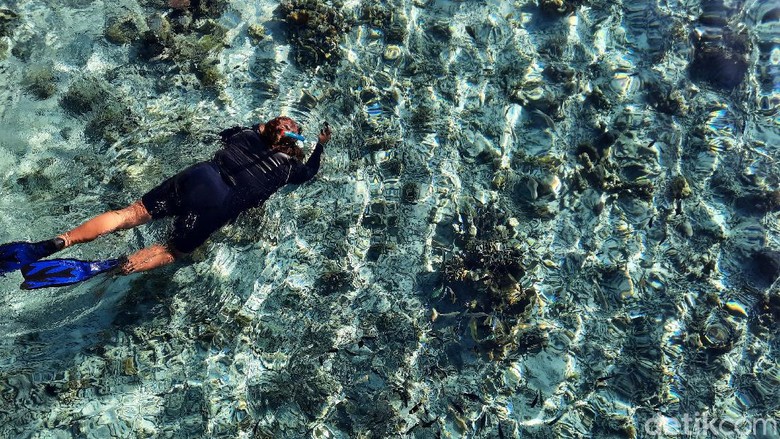 Pulau Kanawa Pulau Kanawa