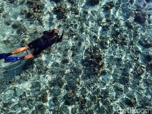 Mau Snorkeling di Labuan Bajo? Bisa Nih di Pulau Kanawa