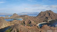 Dari puncak bukit Pulau Padar terlihat pemandangan Pulau Komodo, Gili Lawa, dan Batu Bolong. Indahnya teluk dan birunya lautan membuat hati ini terasa senang karena lelahnya perjalanan terbayar sudah.