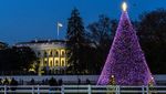Cantiknya Warna-warni Pohon Natal