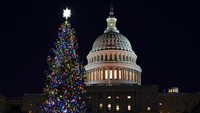 Pohon Natal setinggi 55 kaki juga menghiasi kawasan Gedung Capitol, Amerika Serikat. Pohon cemara Engelmann dari Colorado Barat itu dihiasi dengan ornamen buatan tangan. AP Photo/Susan Walsh.