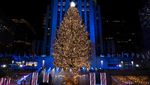Cantiknya Warna-warni Pohon Natal