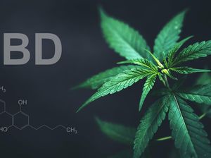 Malaysia Izinkan Penggunaan Ganja untuk Medis