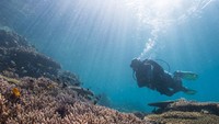 Untuk mendapatkan penghargaan sebagai perusahaan selam terbaik, Scuba Junkie bersaing dengan lebih dari 11.000 nominasi. Dan 30.000 suara diberikan selama periode enam bulan untuk 108 tempat wisata di seluruh dunia dan terdapat 1.100 pusat selam dan resor. Indonesia dan Scuba Junkie masing-masing dinobatkan sebagai pemenang.