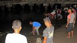 Fenomena Ikan Mendamparkan Diri ke Pantai