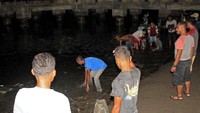 Fenomena ikan hidup naik ke pesisir pantai ini membuat warga di kota itu beramai-ramai untuk mendapatannya.