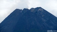 Untuk data deformasi berdasarkan electronic distance measurement (EDM) menunjukan penggembungan tubuh gunung. Tercatat mencapai 11 centimeter perharinya. Pertumbuhan ini masih sama denngan pertumbuhan pada hari sebelumnya.